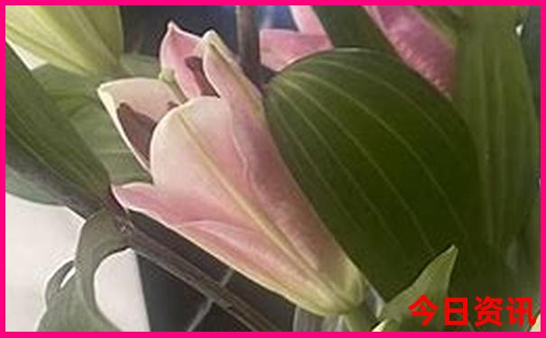 上海亲子游攻略经典三日游